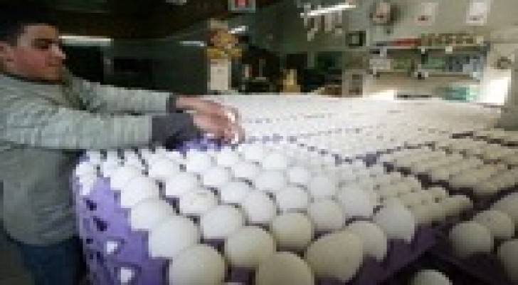 مطالبة باعفاء بيض المائدة من ضريبة المبيعات