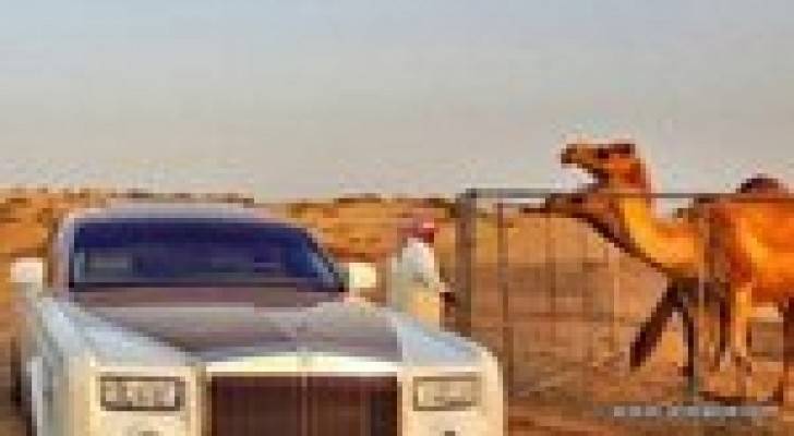 "رولز رويس" تقاضي إماراتي يستخدم سيارتها في تحميل "العلف"