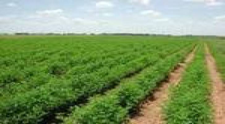 الاردن بصدد استثمار اراض زراعية في السودان