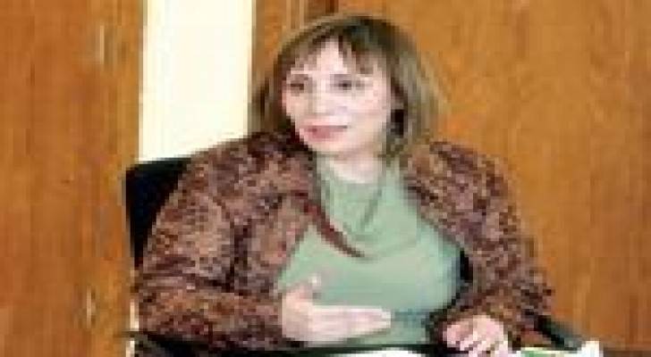 شبيب: فاتورة الطاقة تشكل 17 بالمئة من الناتج المحلي
