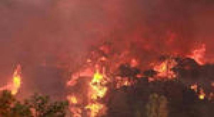 احتراق 50 دونما من الأشجار الحرجية في دبين