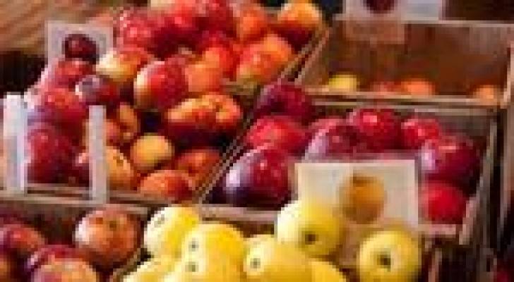 الزراعة ترفض ادخال 460 طنا من الخضار والفواكة عبر جابر