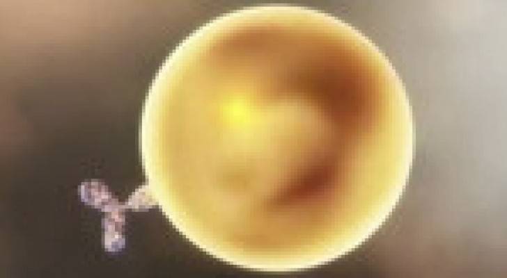 القضاء على الخلايا السرطانية عن طريق حرقها بدقائق النانو المعدنية