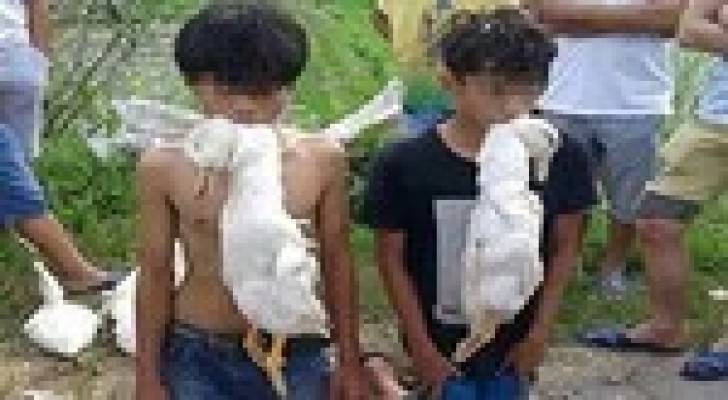 طريقة جديدة في الصين لمعاقبة سارقي البط .. صورة