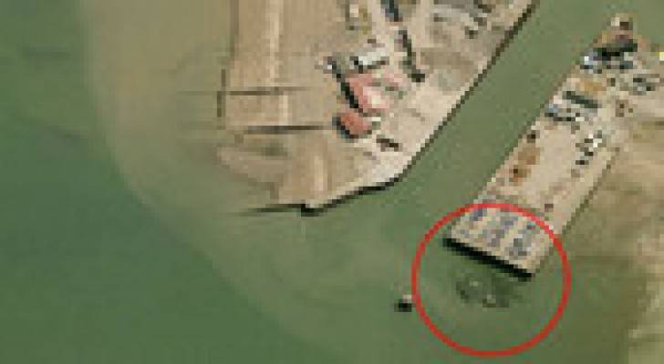 صورة لسرطان عملاق طوله 15 مترا في المياه البريطانية