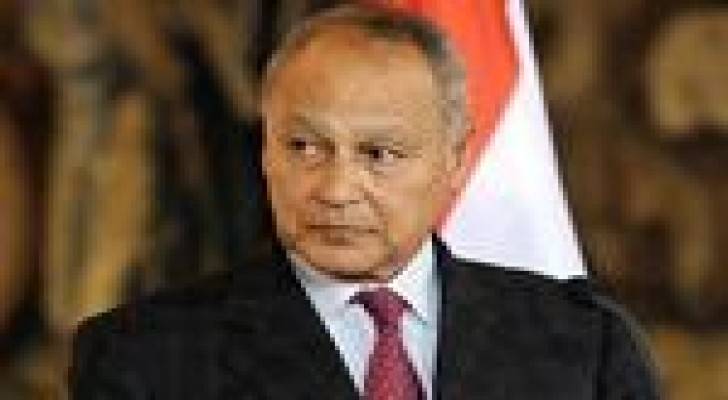 ابو الغيط : مصر لن تضرب "داعش" الا اذا وصل لميناء العقبة الأردني