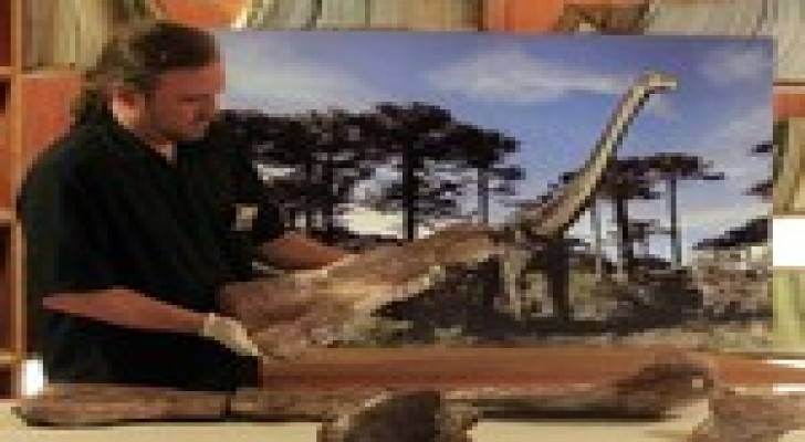 ابرز الانجازات العلمية العالمية لعام 2014
