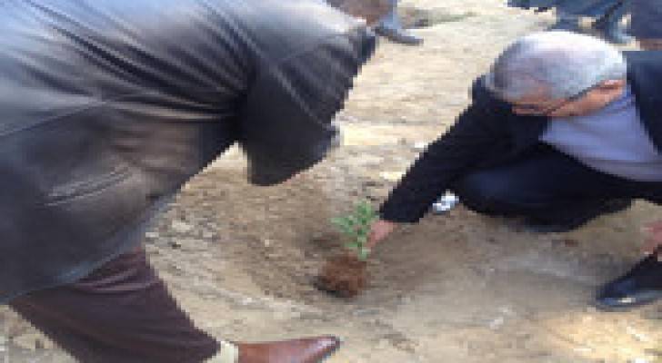 الاحتفال بعيد الشجرة في الاغوار الوسطى