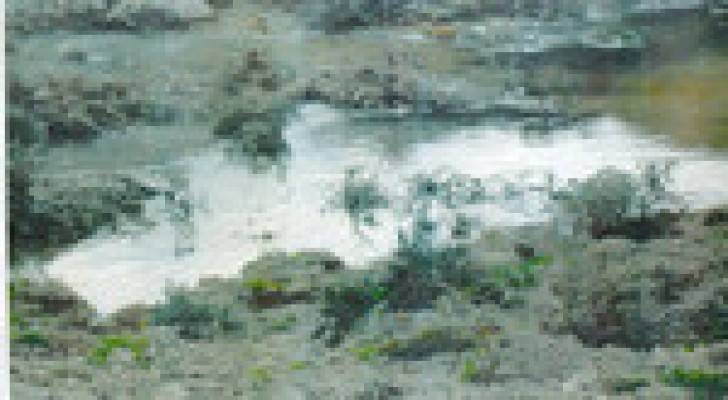 Image 1 from gallery