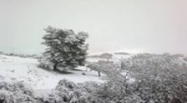 Image 1 from gallery