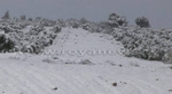 Image 1 from gallery