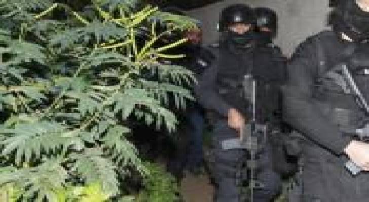 ضبط 40 كيلو ماريجوانا في حملة أمنية بلواء الشونة الجنوبية
