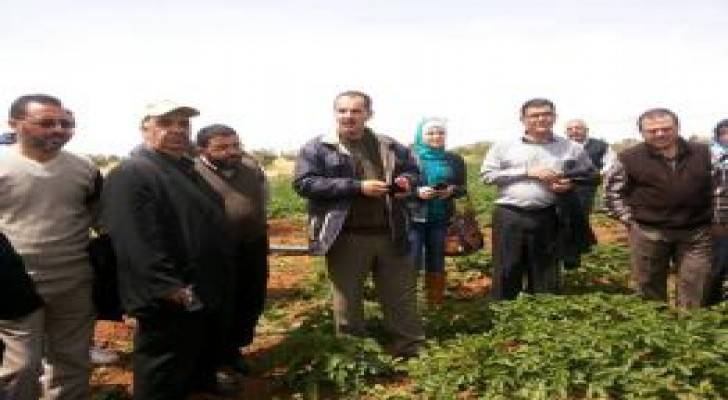 الرمثا: يوم حقلي لزراعة البطاطا بالآلات الزراعية