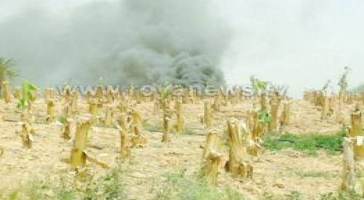 حريق في احدى مزارع الموز في الأغوار الجنوبية .. صور