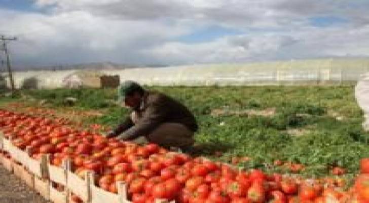 "الخدام" يثمن قرار مجلس النواب في اقرار صندوق المخاطر الزراعية