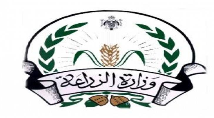 الزراعة : الاردن لا يستورد الدواجن من تركيا وكندا