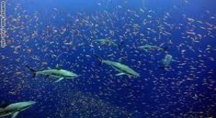 بالصور.. أجمل 10 محميات طبيعية في العالم
