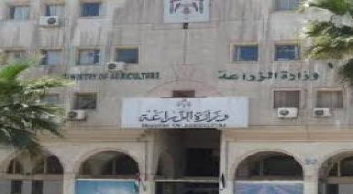 رفض إدخال 25 ألف رأس غنم مصابة بالحمى القلاعية