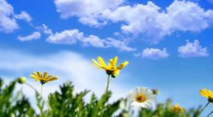 ارتفاع آخر على درجات الحرارة لتصبح أعلى من معدلاتها العامة بقليل