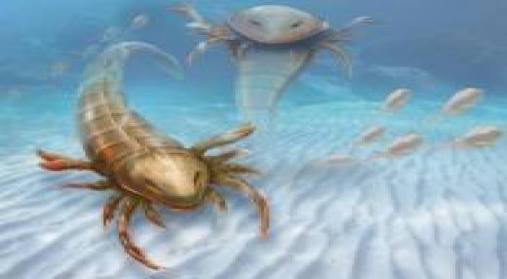 اكتشاف عقرب عملاق عملاق عمره 460 مليون عام