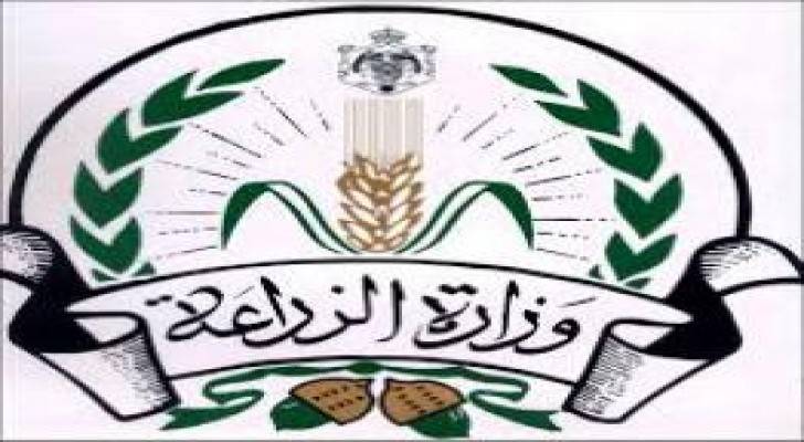 "الزراعة": تجاوزات بمنح تصاريح عمل مزورة بمديريات زراعة