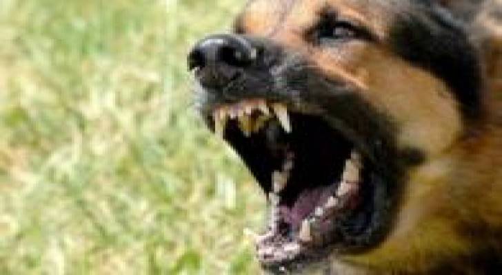 البرتغال.. نباح كلب يتسبب بمقتل 3 أشخاص بينهم عنصرا شرطة