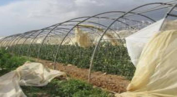 وادي الاردن: تراجع كبير في نسب الأراضي المزروعة