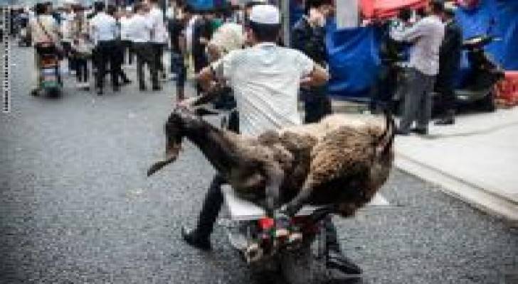 بالصور... أجواء اليوم الأول لعيد الأضحى في العالم