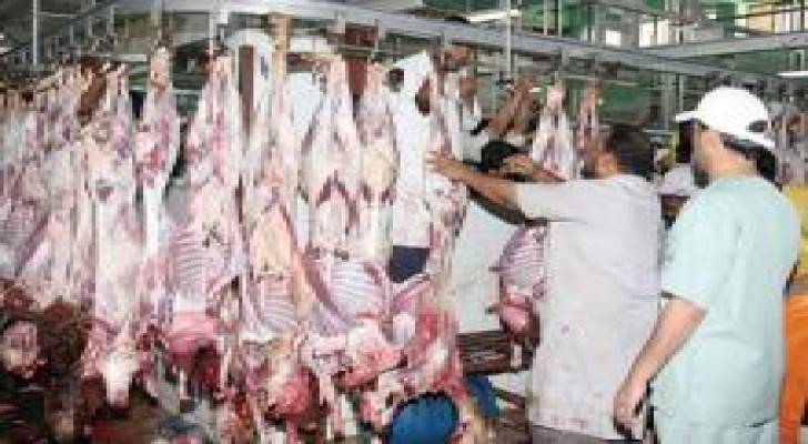 توزيع اضاحي المكرمة الملكية على 14 الف اسرة
