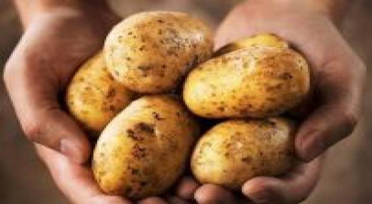 الزراعة: لا بطاطا اسرائيلية بالاسواق