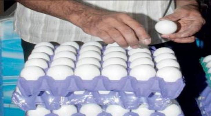 تحديد 33 مركزا لبيع البيض مباشرة بأسعار أقل
