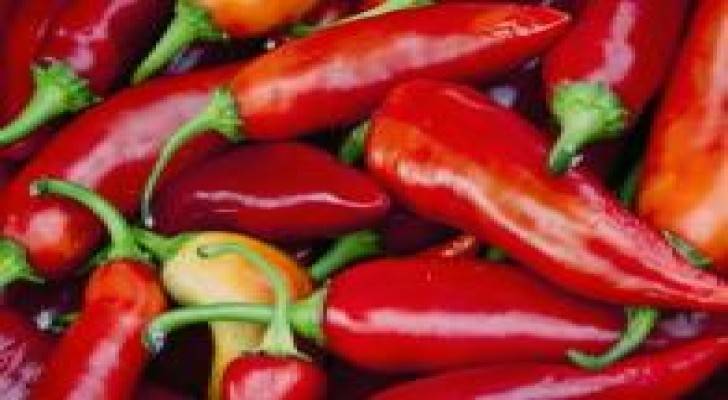 حبس زوجين مصريين قتلا رضيعتهما بإطعامها شطة وتوابل