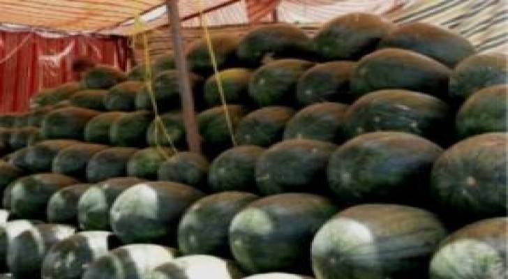 الأمانة تدعو اصحاب معرشات البطيخ لإزالتها خلال اسبوعين