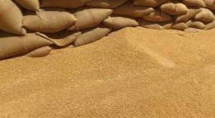 الرأي: مصدر يؤكد فشل شراء عطاء القمح للمرة الرابعة والسبب الشروط الصارمة
