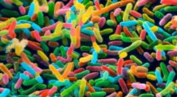 علماء روس يكتشفون علاقة بين بكتيريا الأمعاء والنوع الثاني من السكري