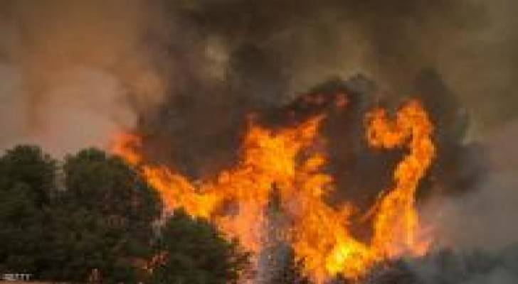 Image 1 from gallery
