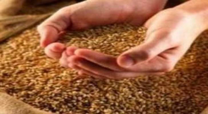 "الغذاء والدواء" شحنة القمح الاميركية سليمة باستثناء 150-160 طنا تعرضت لرطوبة