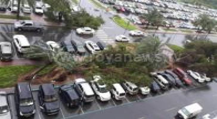 Image 1 from gallery