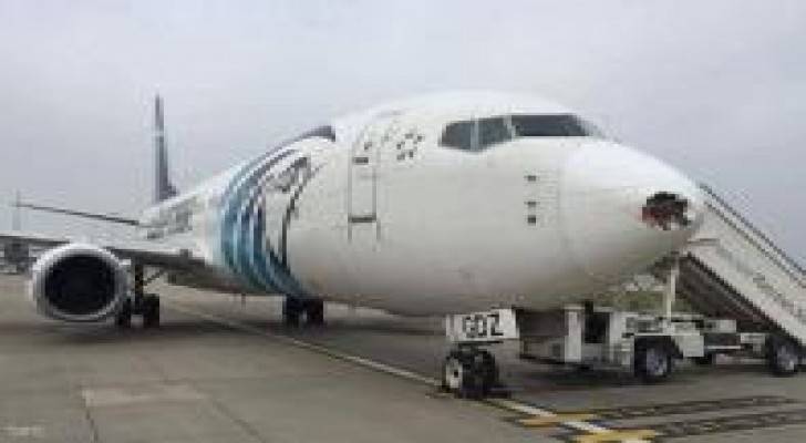 طائر يحطم مقدمة طائرة مصرية في لندن