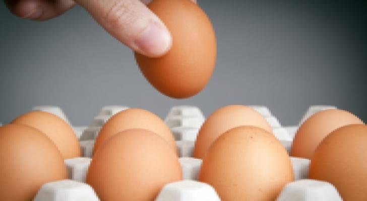 النسور يعفي بيض المائدة من الضريبة