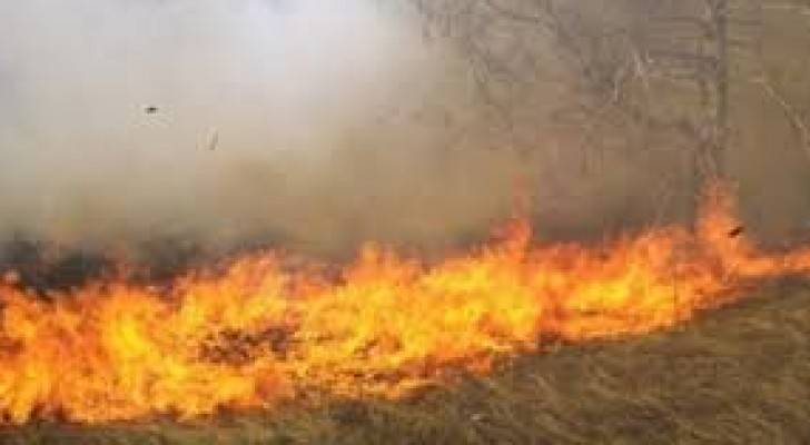اخماد حريق محاصيل زراعية في منطقة الرميمين