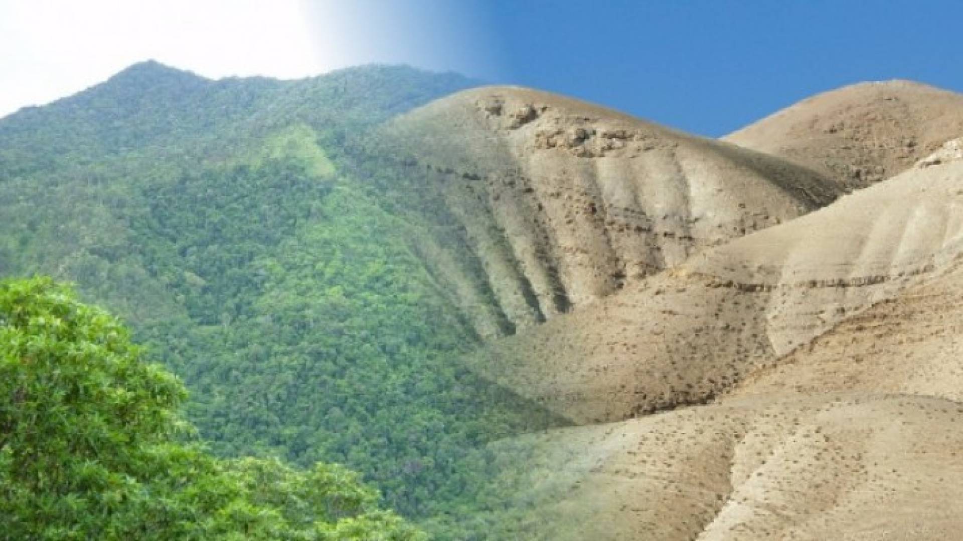 Image 1 from gallery