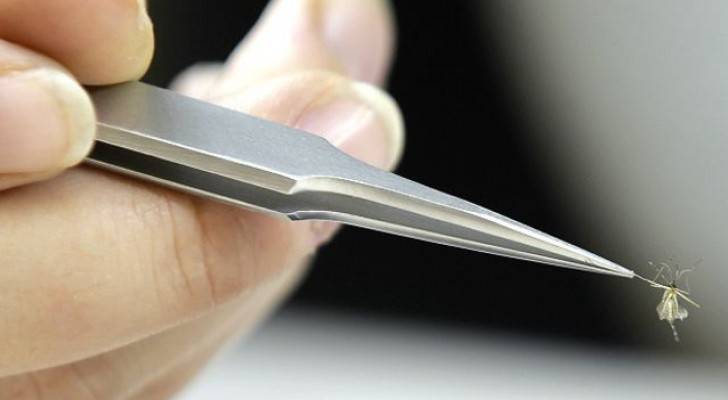 إصابة بفيروس زيكا تثير حيرة علماء في الولايات المتحدة