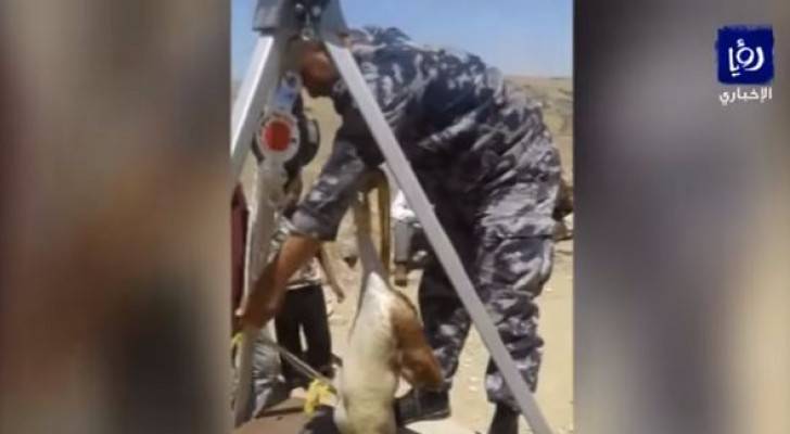 فيديو: سبعينية تستنجد بالدفاع المدني لإنقاذ ماعز سقطت في بئر