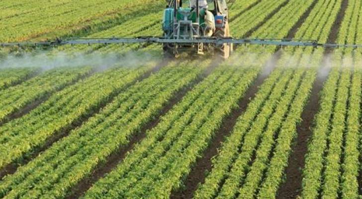 الزراعة تؤكد أهمية التوسع في الزراعات العضوية ونشر مفهومها