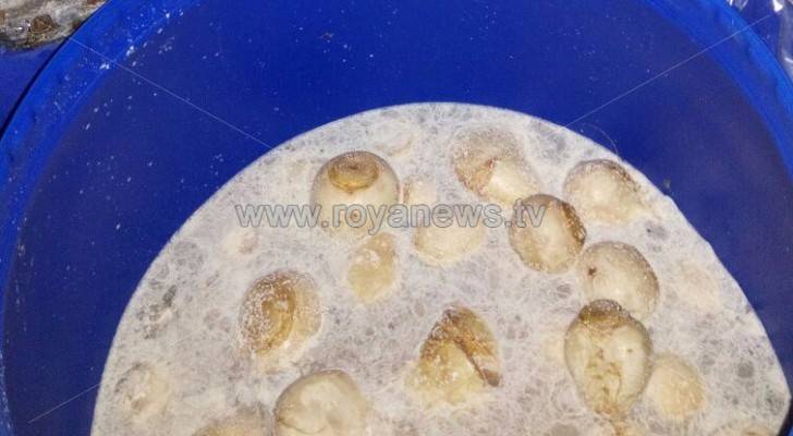 بالصور: ضبط 20 طنا من المخللات " المتعفنة " في إربد