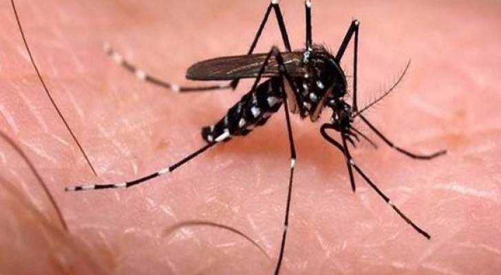 تسجيل 14 إصابة بفيروس زيكا في إسرائيل