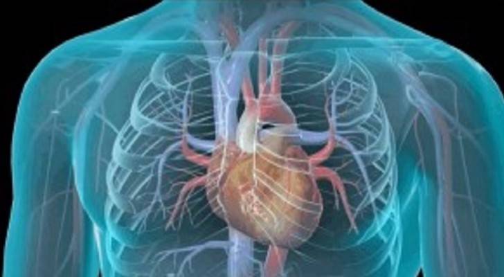 نصائح هامة لتجنب خطر الذبحة القلبية