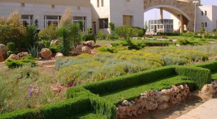 جامعة آل البيت - ارشيفية 