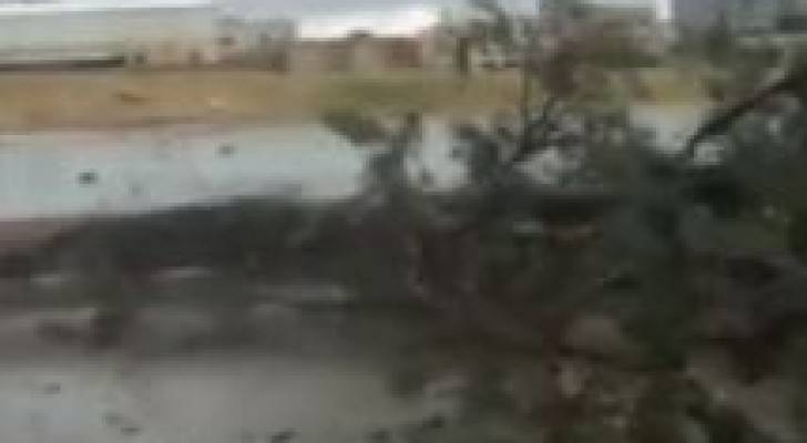 بالفيديو: الرياح تتسبب بتكسير الاشجار بالمقابلين
